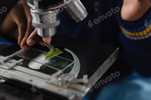 Preview: Schoolgirl experimenting with leaf