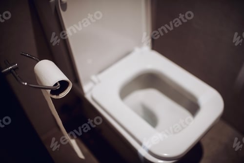 Preview: toilet
