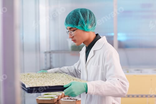 Preview: Farmer working with seeds