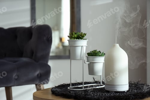 Preview: Aroma oil diffuser and houseplant on table in living room. Space for text