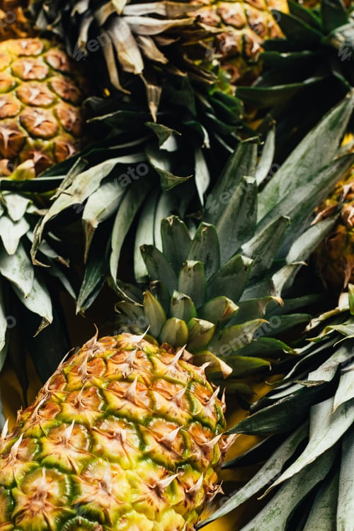 Preview: Selective Focus of Fresh Ripe Pineapples With Green Leaves