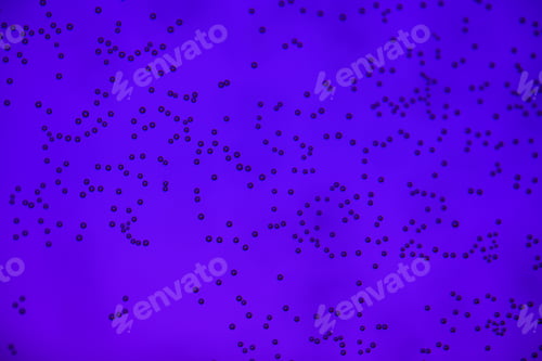 Preview: The Background Image Is Bright Bubbles On The Glass