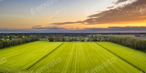 Preview: Aerial view of agricultural meadow landscape
