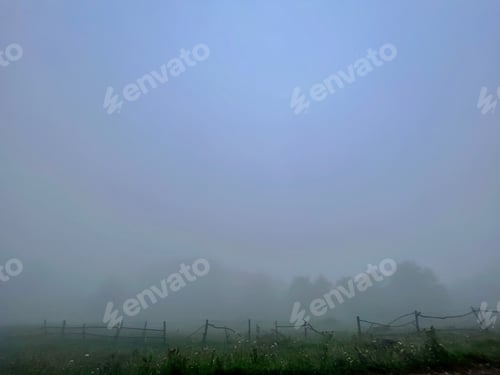 Preview: a person walking a horse across a green field on a foggy day