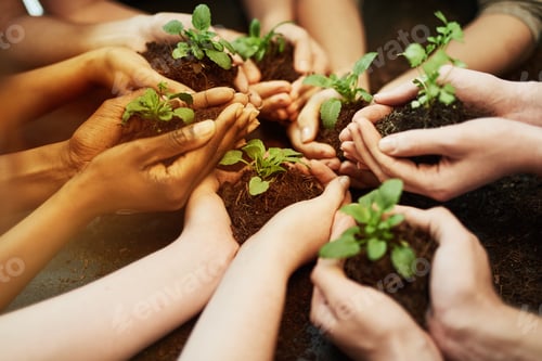 Preview: Cropped shot of a group of people holding plants growing out of soil