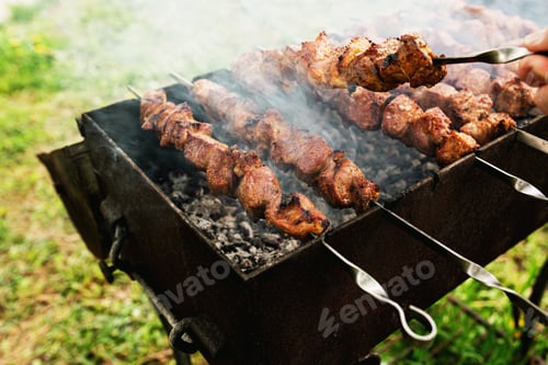 Preview: Tasty barbecue skewer with pork meat on brazier with smoke