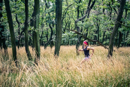Preview: Trail running athletic woman in green forest, sports inspiration