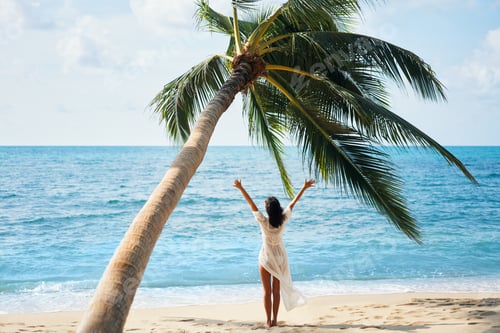 Preview: Back view of happy young woman enjoy her tropical beach vacation standing under palm tree