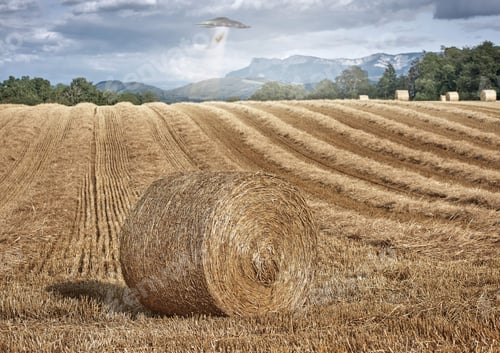 Preview: UFO, farm and field with alien spaceship invasion, hay or tractor beam light for research. UAP, fly