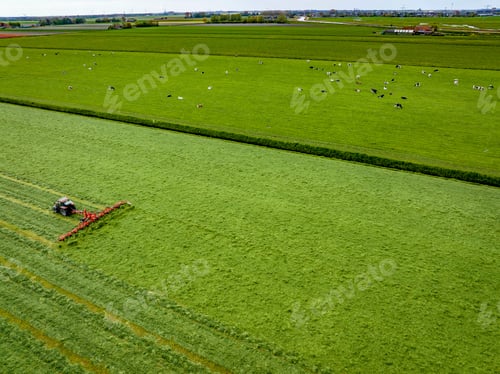 Preview: Farmer in his tracker fertilising his field with cows in the next field.