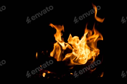 Preview: fire on a black background. The concept of nature.