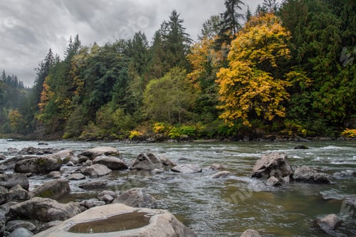 Preview: River in Pacific Northwest