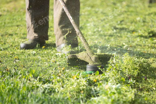 Preview: Lawn mover on green grass. Machine for cutting lawns.
