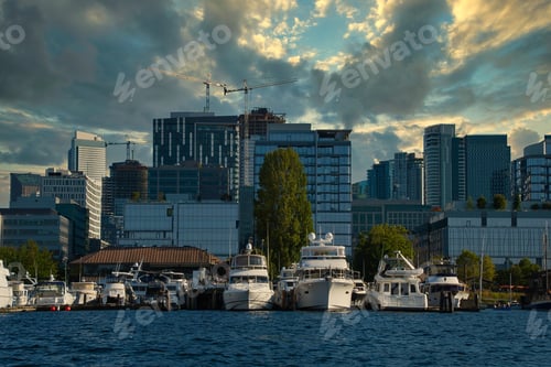 Preview: Scenic view of the Seattle city with high glass buildings and boats in the harbor