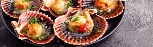 Preview: Scallops in Shells on Black Plate