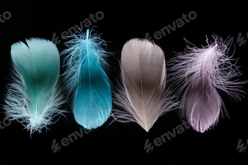 Preview: green, blue, grey and pink light plumes isolated on black