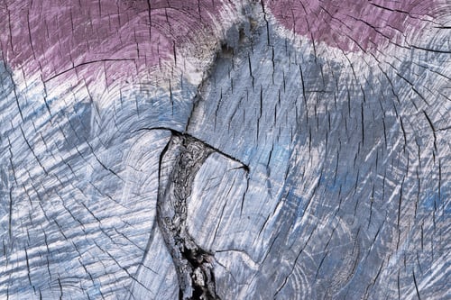 Preview: Spotty Wooden Texture, Old With Cracks, Closeup For An Abstract Natural Background