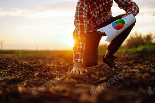 Preview: Hand of expert farmer collect soil and checking soil health before growth a seed of vegetable.