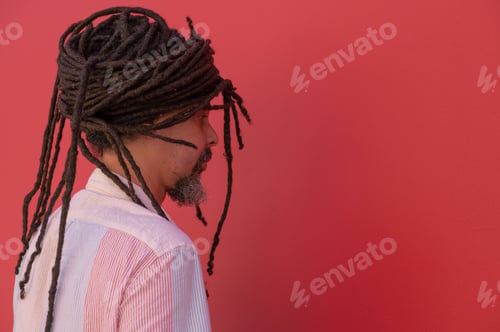 Preview: Rear view of man with locs hairstyle