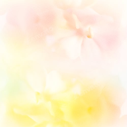 Preview: Vivid Color Roses Flower In Soft And Blur Style On Mulberry Paper Texture