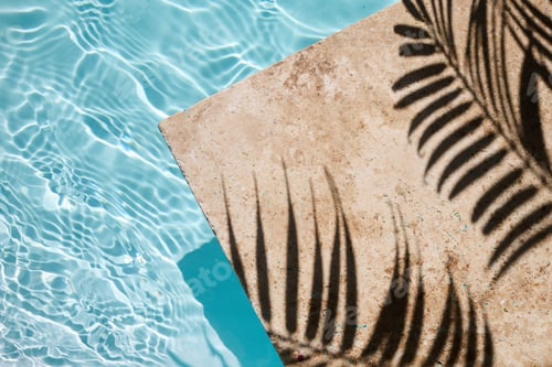 Preview: Tropical Poolside Serenity. Water ring and palm shadow on travertine stone
