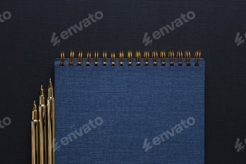 Preview: Steno notepad with gold pens
