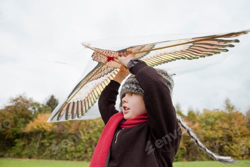 Preview: Boy flies a kite