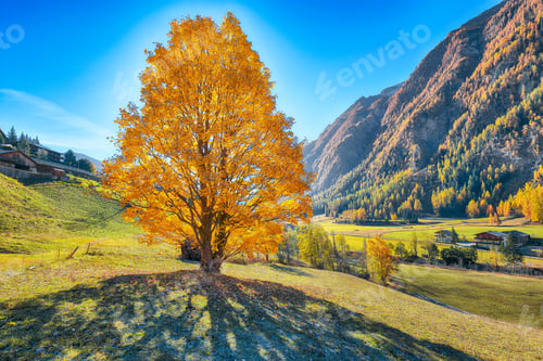 Preview: Breathtaking autumn landscape at Heiligenblut village near Grossglockner mount .