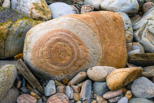 Preview: Curious circular formations of orange pigments in a sandstone pebble