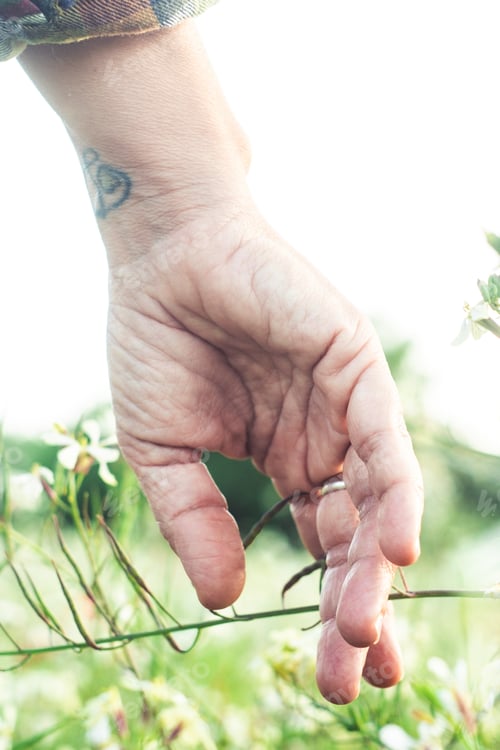 Preview: Close up of hand touching softly green grass and blossom. Welcome spring. Springtime