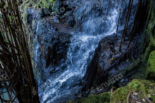 Preview: Kenya Landscape recreational park outdoors exteriors paradise lost kiambu