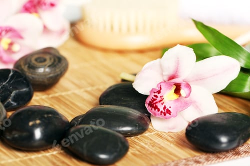 Preview: Spa and wellness