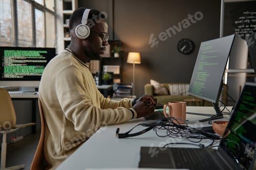 Preview: Software Developer Fixing Bugs