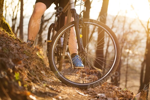 Preview: Mountain biker
