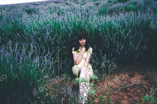 Preview: Young brunette woman sitting surrounded by lavender