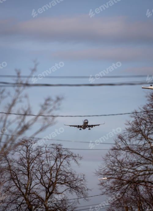 Preview: Vertical shot of the plane flying in the sky above the trees.