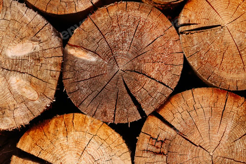 Preview: Woodpile pattern or texture. Round cuts of wood.