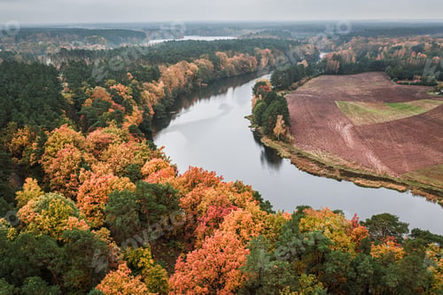 Preview: Yellow autumn forest and winding river, aerial view