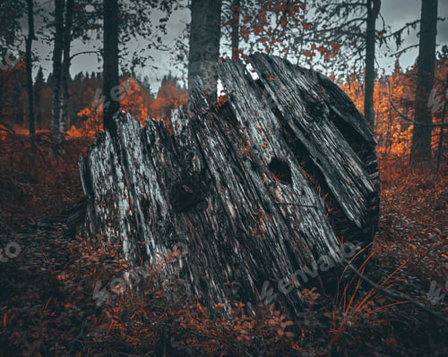 Preview: Old abandoned rural machine with in the forest