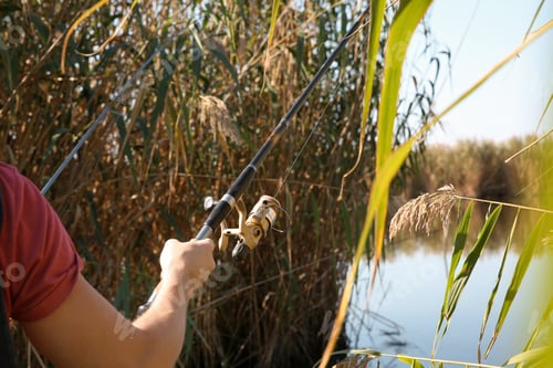 Preview: Man fishing alone at riverside on sunny day, closeup