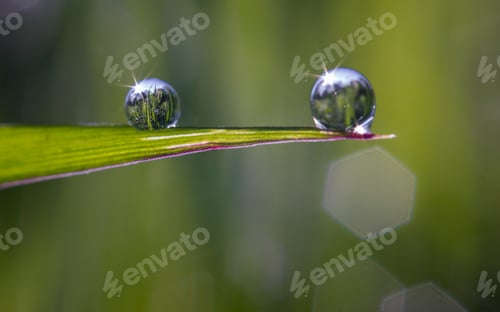Preview: Two drops on a leaf