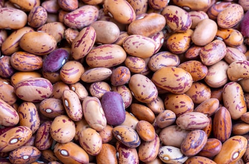 Preview: Legumes; dried roman beans. Dried pinto beans.