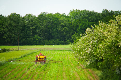 Preview: a peasant with a tractor, working a cornfield crop