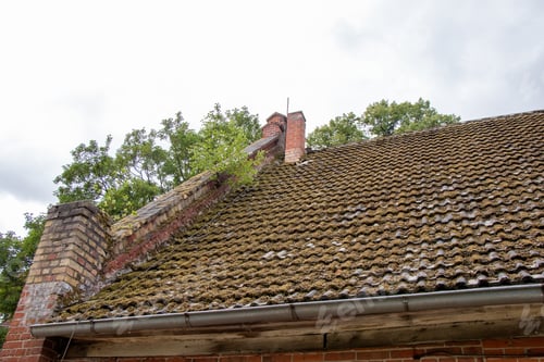 Preview: Low angle shot of an old house rood covered with plants