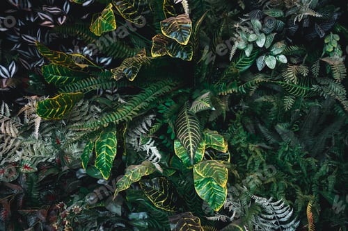 Preview: A background with an abstract design and a close-up texture group of green leaves.