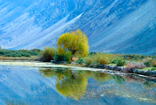 Preview: Himalayan landscape. Ladakh, India