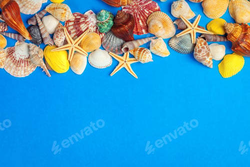 Preview: Flat lay. Top view. Frame of shells of various kinds on a blue background