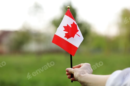 Preview: Flag of Canada, National symbol waving against, sunny day. Canada flag in woman hand