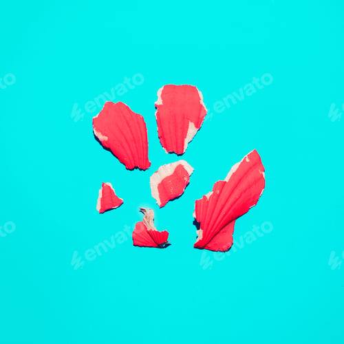 Preview: Broken shell. Minimal art style
