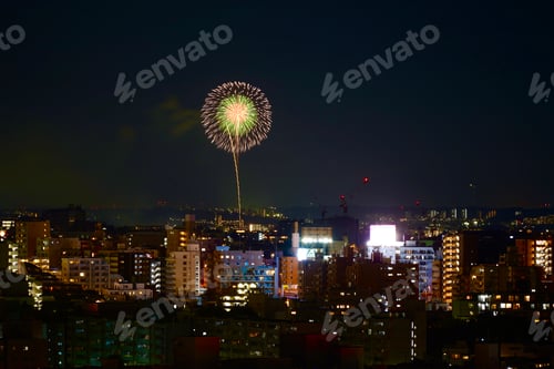 Preview: Flower-like fireworks in Tokyo night sky